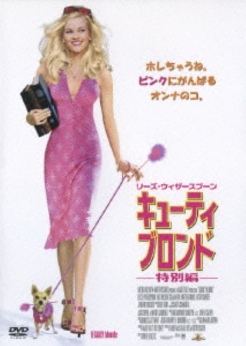 yÁzL[eBEuh ʕ yDVDz^[YEEBU[Xv[