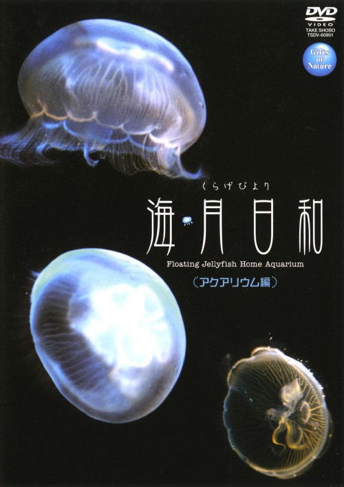 【中古】海月日和 アクアリウム編 【DVD】
