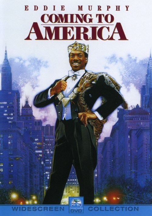 yÁzj̉qj[[N֍s yDVDz^GfBE}[tB