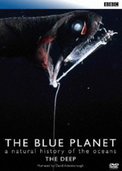 yÁzu[Evlbg sgd cddo yDVDz