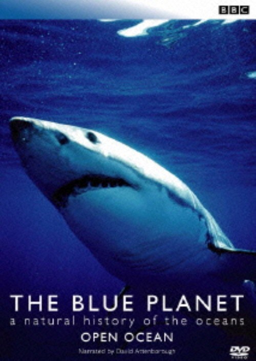 yÁzu[Evlbg OPEN OCEAN yDVDz