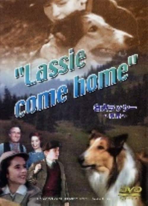 �y���Áz�������b�V�[ �ƘH �yDVD�z�^���f�B�E�}�N�h�E�H�[��