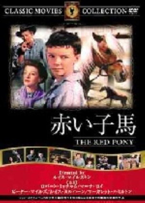 【中古】赤い子馬 【DVD】/ロバート・ミッチャム