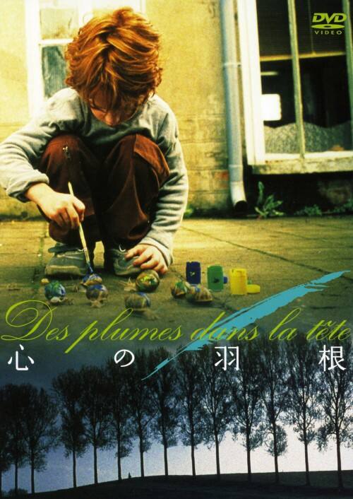 �y���Áz�S�̉H�� �yDVD�z�^�\�t�B�[�E�~���Y�[��