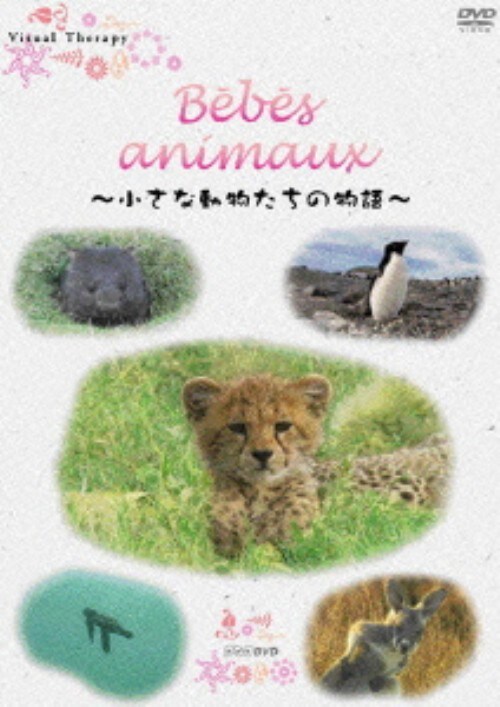 【中古】bebes d animaux 小さな動物たちの物語 【DVD】