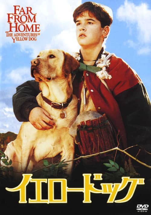 �y���Áz�C�G���[�h�b�O �yDVD�z�^�W�F�V�[�E�u���b�h�t�H�[�h