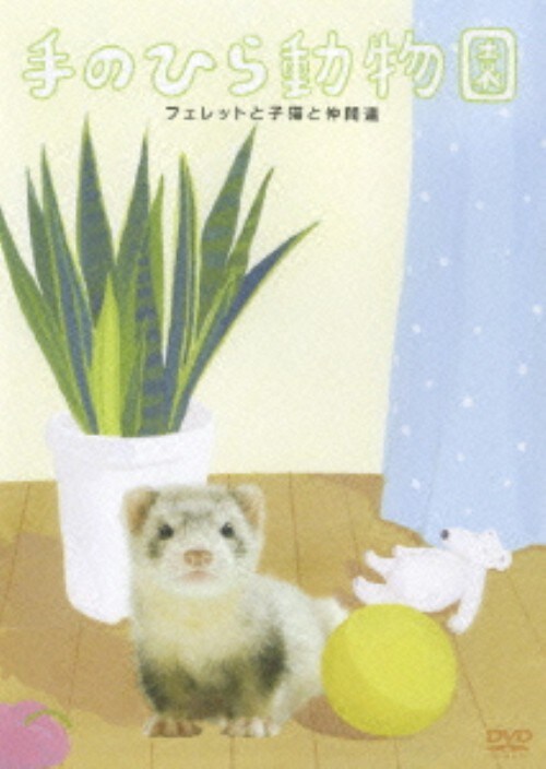 yÁẑЂ瓮 tFbgƎqLƒԒB yDVDz