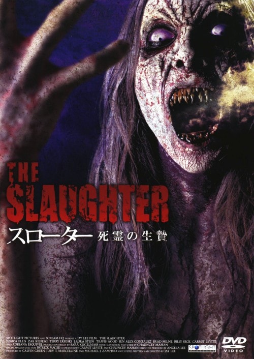 yÁzX[^[ ̐сyDVDz^WFVJEGX