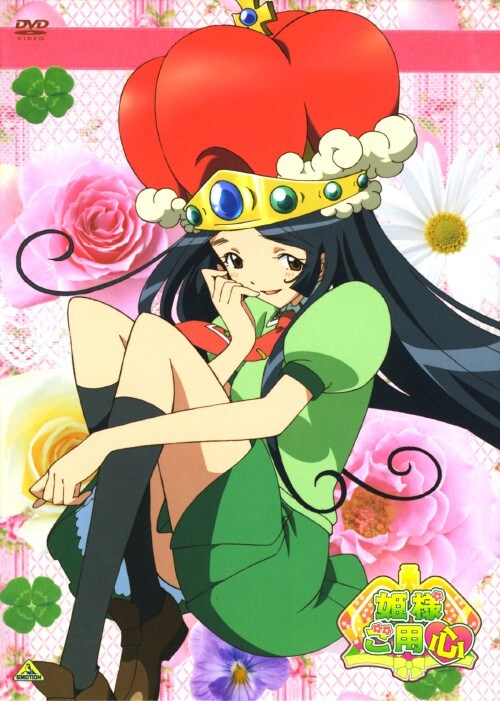 �y���Áz�P�D�P�l���p�S �yDVD�z�^�V�J�ǎq