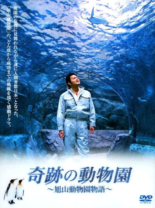 【中古】 奇跡の動物園2008 ～旭山動物園物語～ 邦画 PCBC-71421 ゲオ公式通販サイト/ゲオオンラインストア【中古】奇跡の動物園
