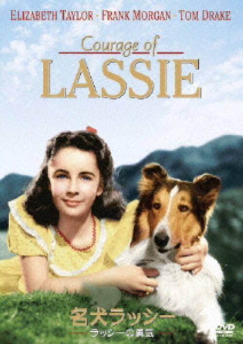 【中古】期限)名犬ラッシー/ラッシーの勇気 【DVD】/エリザベス・テイラー
