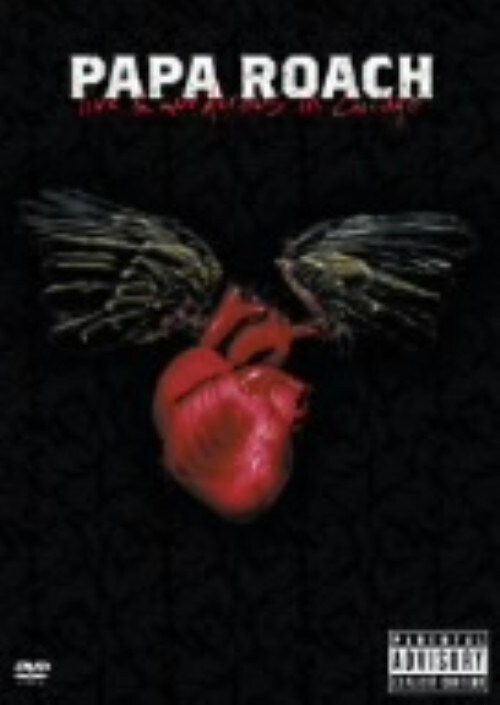 yÁzVJSElC yDVDz^ppE[`