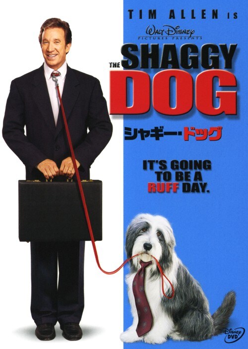 �y���Áz�V���M�[�E�h�b�O �yDVD�z�^�e�B���E�A����