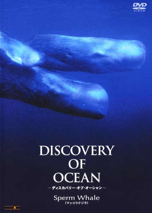 【中古】ディスカバリー・オブ・オーシャン マッコウクジラ (完) 【DVD】/多田野曜平
