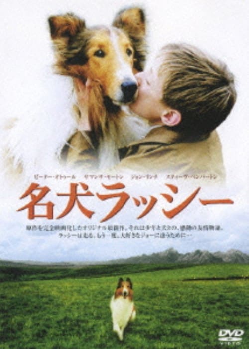 【中古】名犬ラッシー (2005) 【DVD】/ピーター・オトゥール