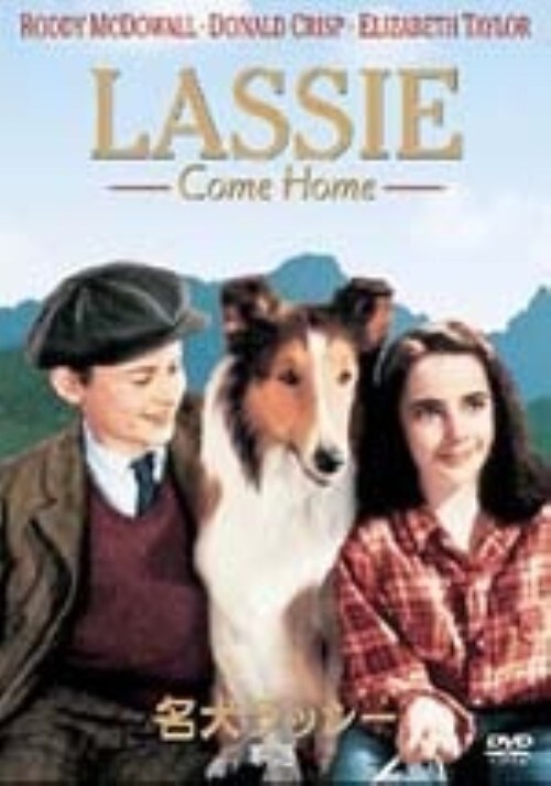 �y���Áz�������b�V�[ �ƘH �yDVD�z�^���f�B�E�}�N�h�E�H�[��