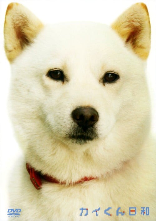 �y���Áz�J�C������a �yDVD�z