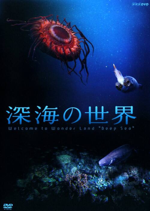 �y���Áz�[�C�̐��E �yDVD�z