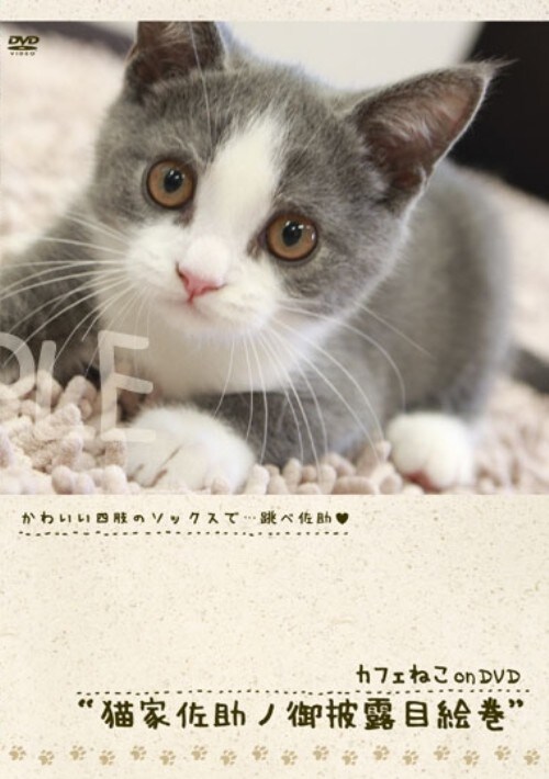 【中古】カフェねこonDVD 猫家佐助ノ御披露目絵巻 【DVD】