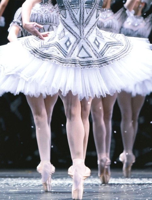 【中古】初限)パリ・オペラ座のすべて 【DVD】