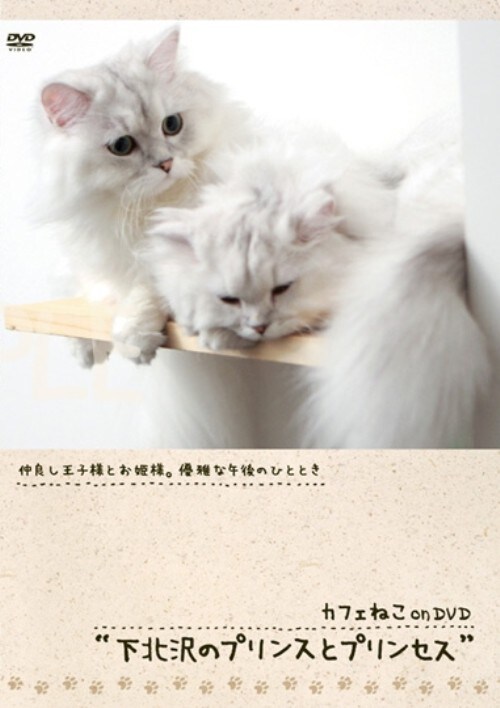 �y���Áz�J�t�F�˂�onDVD ���k��̃v�����X�ƃv�����Z�X �yDVD�z