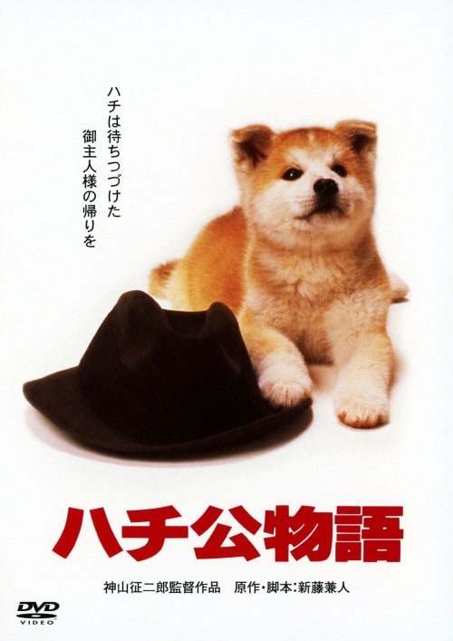 �y���Áz�����j�n�`������ �yDVD�z�^����B��