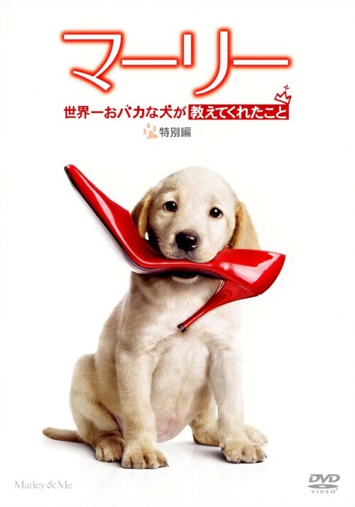 【中古】マーリー 世界一おバカな犬が教えてくれ…特別編 【DVD】/オーウェン・ウィルソン