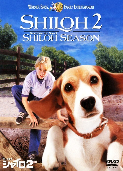 �y���Áz�����j�Q�D�r�[�O���� �V���C�� ���ʔ� �yDVD�z�^�U�b�J���[�E�u���E��