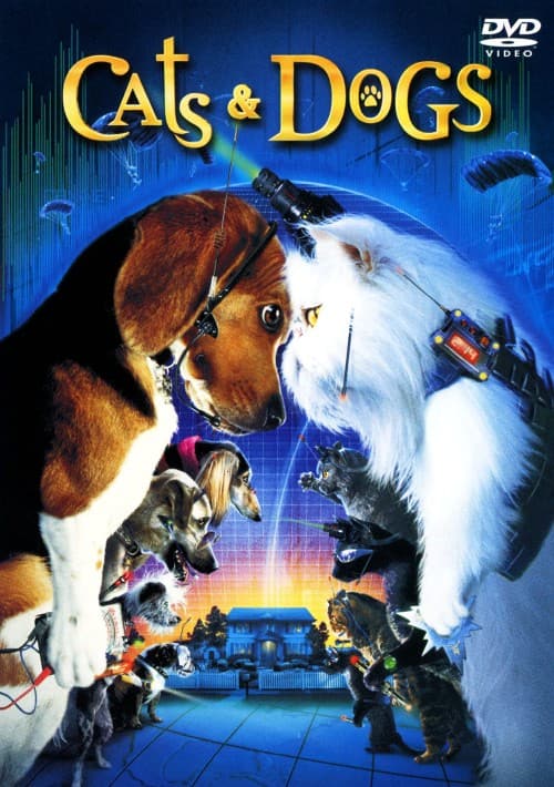 �y���Áz�����j�L���b�c���h�b�O�X ���ʔ� �yDVD�z�^�W�F�t�E�S�[���h�u����