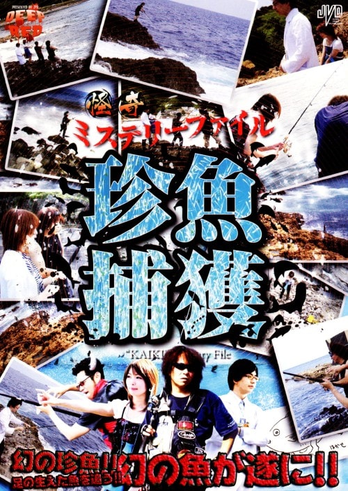 �y���Áz����~�X�e���[�t�@�C�� �����ߊl �yDVD�z�^�J���k��