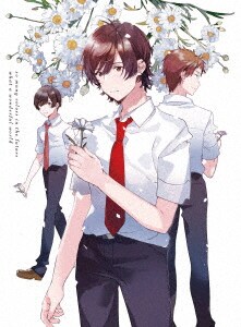 �y���Áz�Q�D�F�Â����E�̖������� BOX �y�u���[���C�z�^�Ό��ĐD