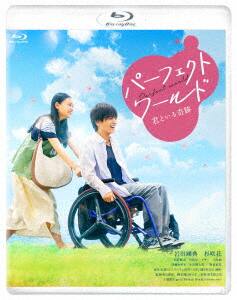 【中古】パーフェクトワールド 君といる奇跡 【ブルーレイ】/岩田剛典