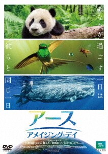 �y���Áz�A�[�X�F�A���C�W���O�E�f�C �yDVD�z�^���X�ؑ��V��