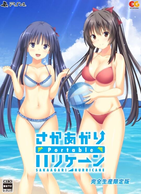 �y�V�i�z����������n���P�[���@�o���������������@���S���Y�����