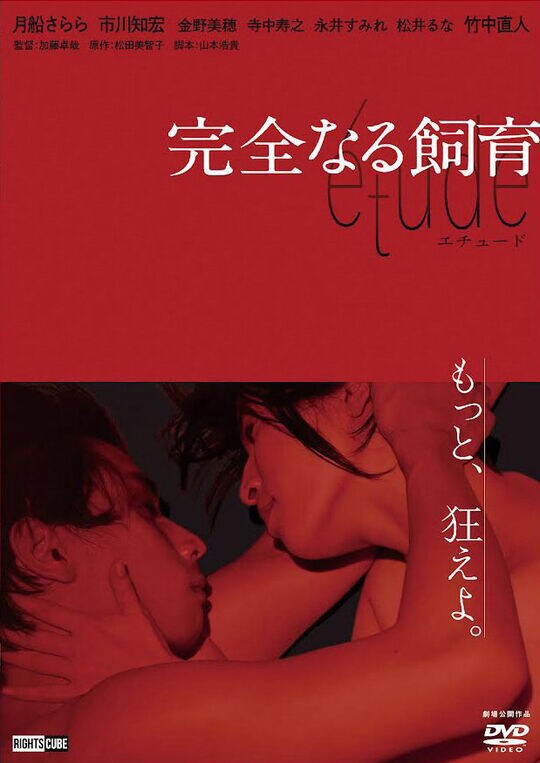 �y���Áz���S�Ȃ鎔�� ���������� �yDVD�z�^���D�����