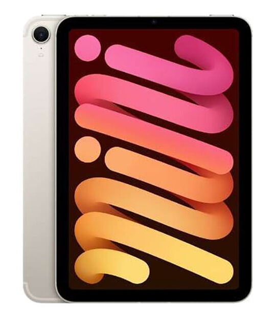yÁzySۏ؁z iPad mini 8.3C` A17 Pro[512GB] Z[ SIMt[ X^[Cg